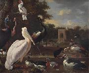 Melchior de Hondecoeter, A Pelican and other exotic birds in a park